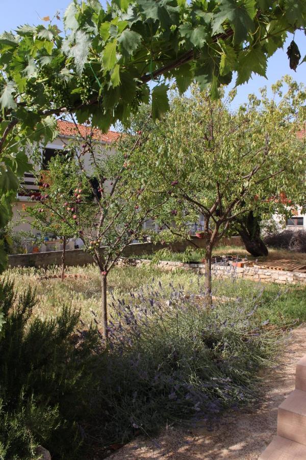 Apartments With A Parking Space Sali, Dugi Otok - 8136 Exterior foto